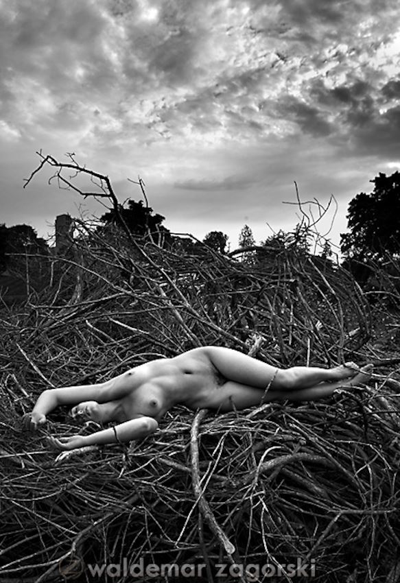 waldemar zagorski artistic nude photo by model meghan claire