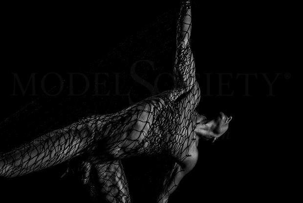 web of deceit artistic nude photo by model avid light