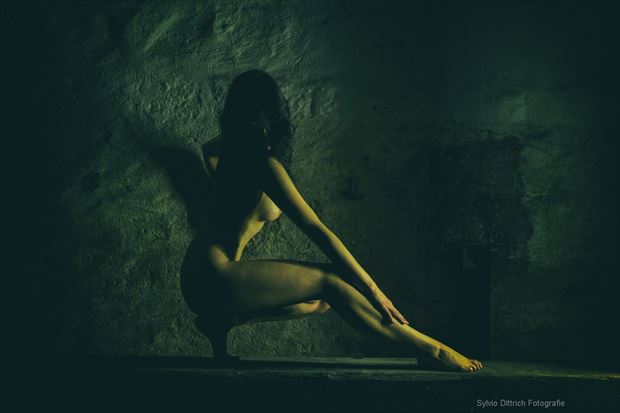 weibliches dreieck artistic nude photo by photographer s dittrich