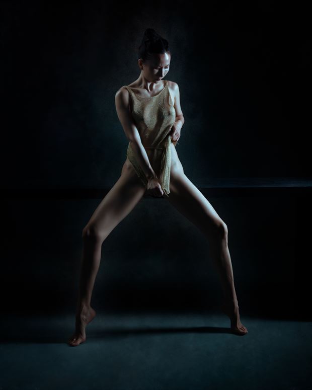 wen li wendimodel in the gold dress artistic nude photo by photographer doc list