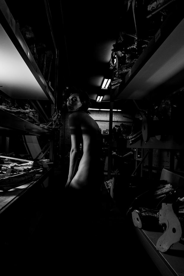 whitney masters shadows light artistic nude photo by photographer jhp