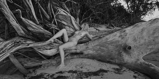 wild beach artistic nude photo by photographer dml