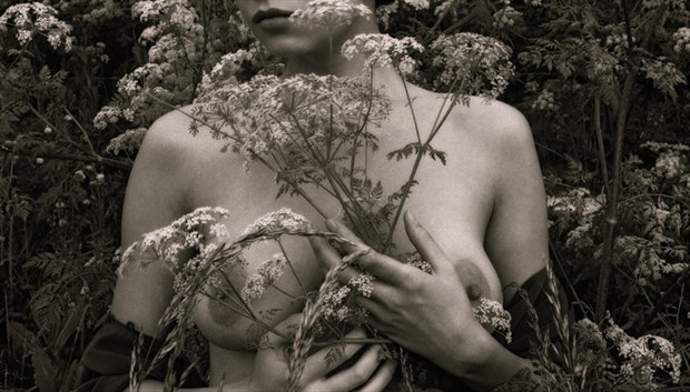wild flower artistic nude photo by photographer gary latham