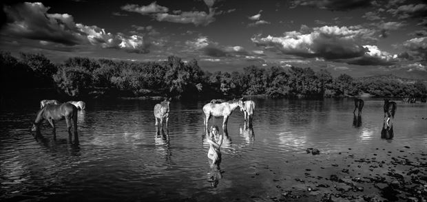 wild horses artistic nude photo by photographer bob j