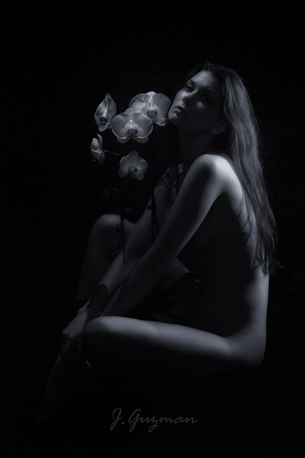 wild orchid 3 artistic nude photo by photographer j guzman