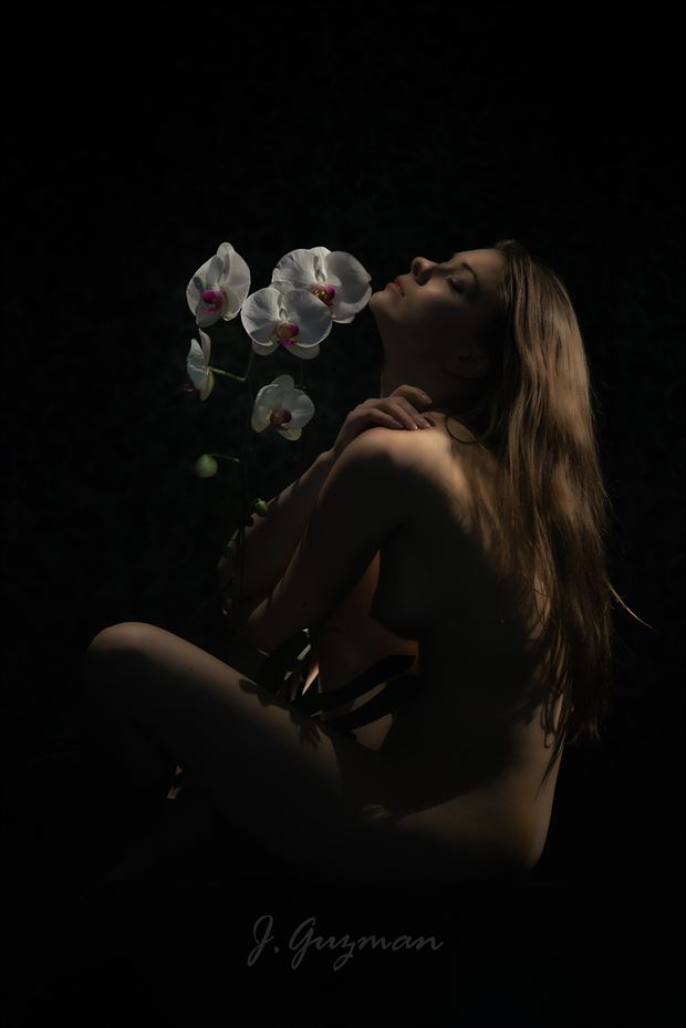wild orchid artistic nude photo by photographer j guzman