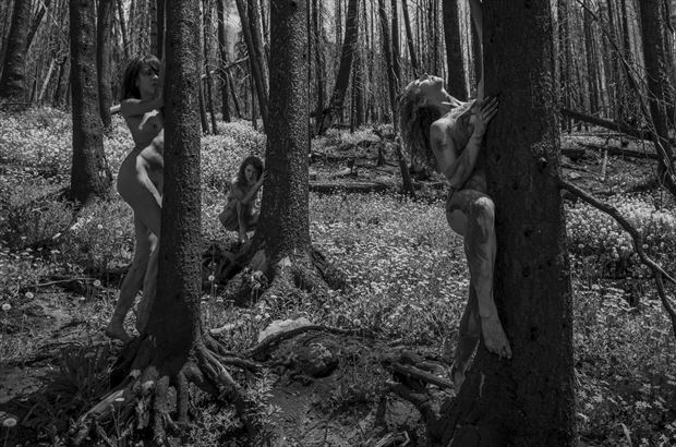 wild women in the woods artistic nude photo by model jessa ray muse