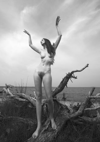 willa with driftwood artistic nude photo by photographer kayakdude