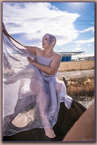 wind sheer Artistic Nude Photo by Artist dregyn