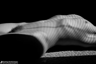 window light Artistic Nude Photo by Photographer Floating World Images