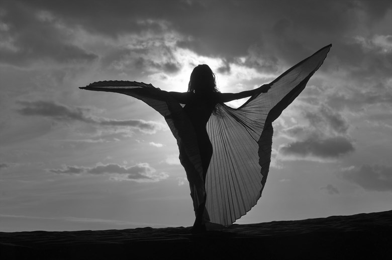 wings Natural Light Artwork by Photographer photohh