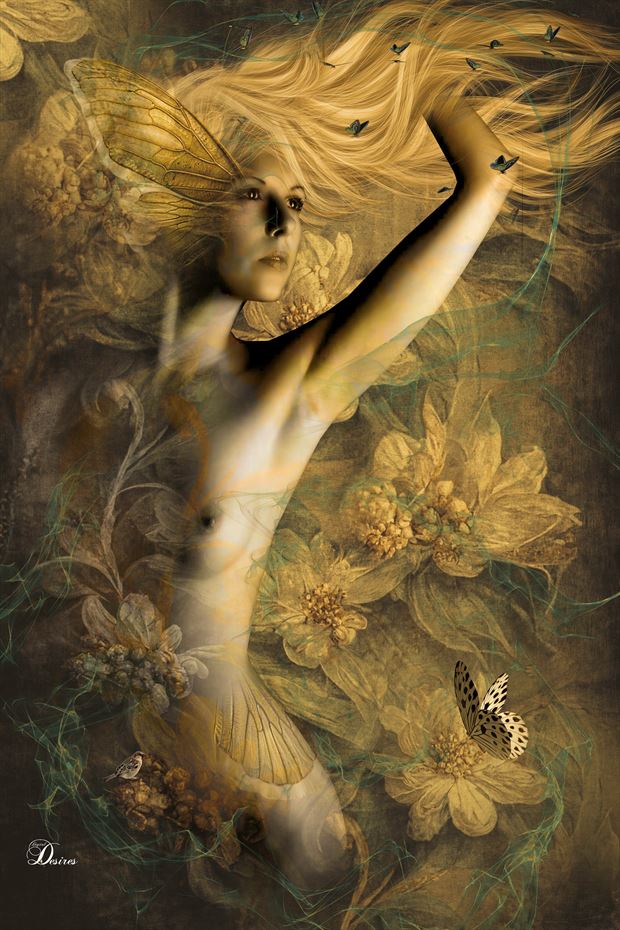 wings of gold fantasy artwork by artist digital desires