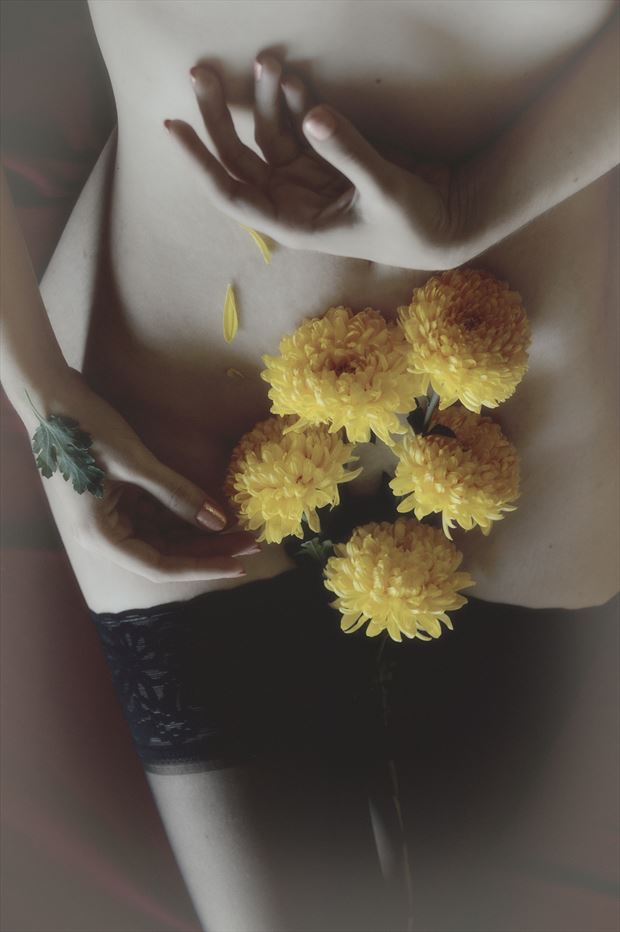 with chrysanthemums artistic nude photo by photographer nobudds
