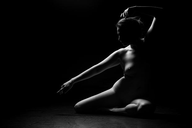 within the shadow artistic nude photo by model misted forest 