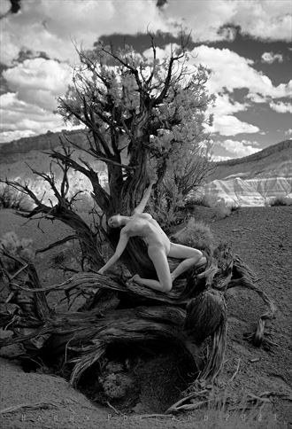 woman in juniper artistic nude photo by photographer shootist