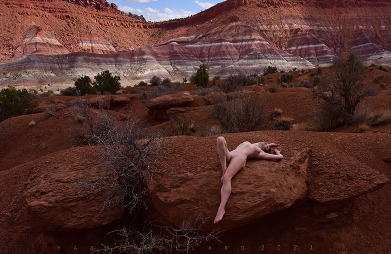 woman in repose paria artistic nude photo by photographer shootist