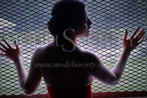 woman in silhouette silhouette photo by photographer bill gualtieri