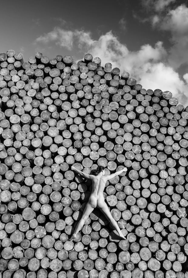 wood artistic nude photo by photographer robert koudijs