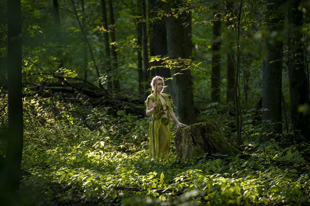 wood nymph in a glade nature photo by photographer christopher harwood