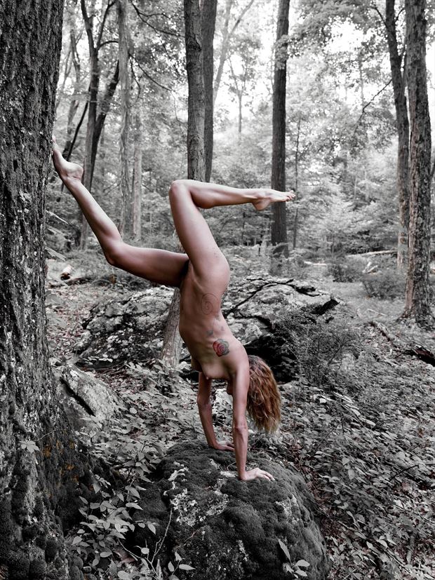 woodland lady artistic nude artwork by photographer passion for art