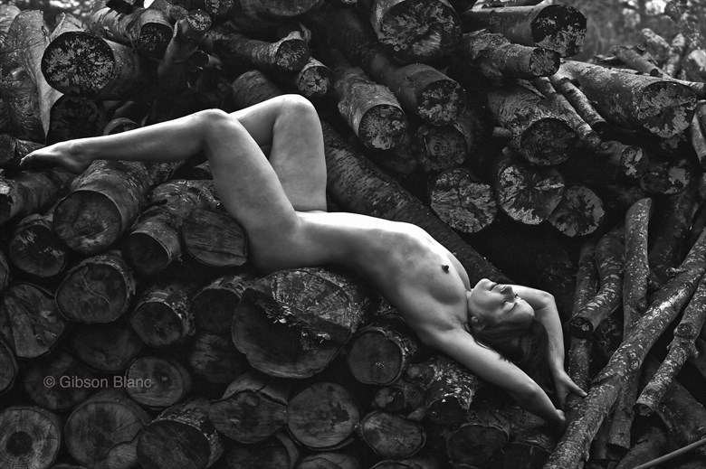 woodpile nude Artistic Nude Photo by Photographer Gibson
