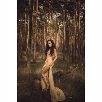 woods artistic nude photo by photographer majo