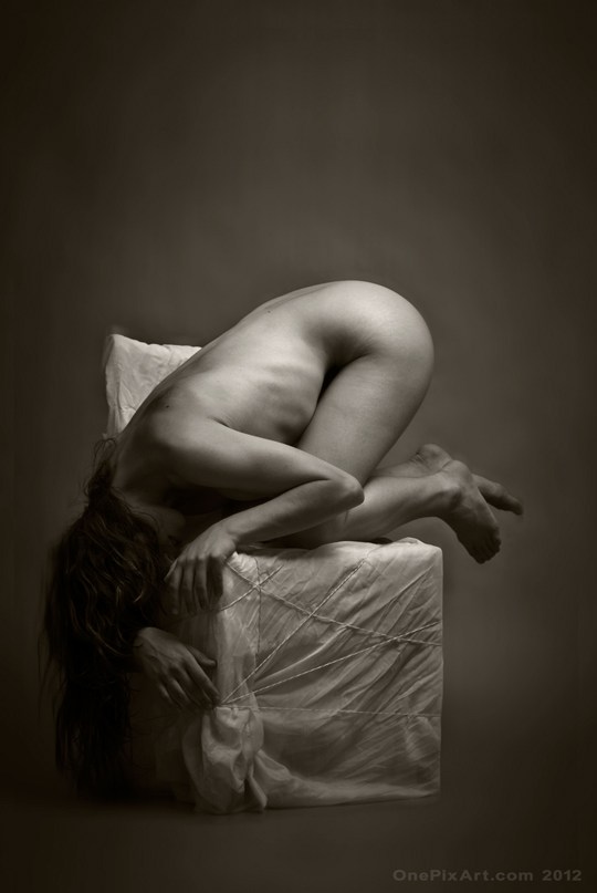 wrapped chair artistic nude photo by photographer onepixart