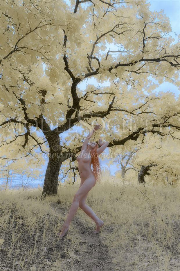 xaina oak tree artistic nude photo by photographer fotoflair