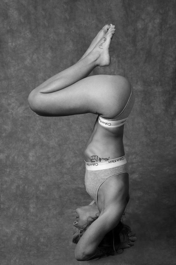 yogi 1 digital photo by photographer johnvphoto