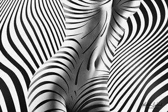 zebra body lines artistic nude photo by photographer kristian liebrand