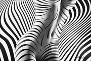 zebra body lines artistic nude photo by photographer kristian liebrand