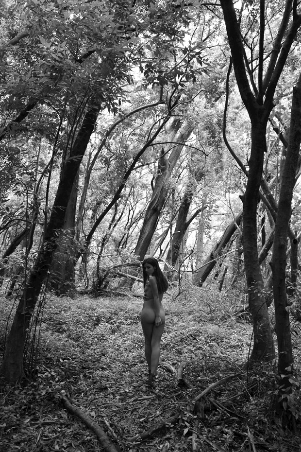 A Walk in the Woods Artistic Nude Photo print by Photographer Jason Tag