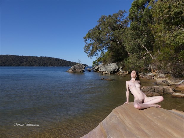 Andrea Artistic Nude Photo print by Photographer Dorne Shannon 