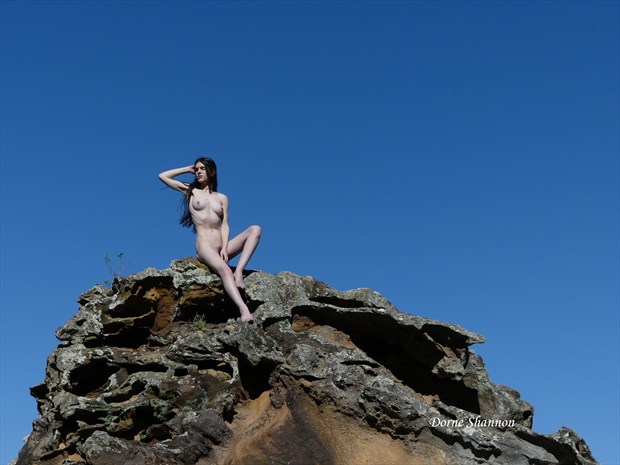Andrea Artistic Nude Photo print by Photographer Dorne Shannon 