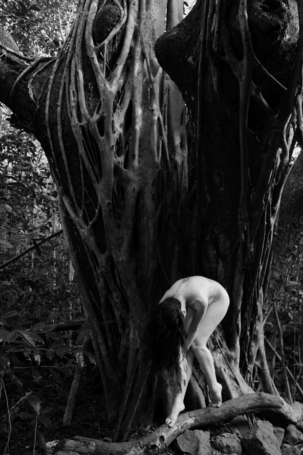 Anne   Tree Artistic Nude Photo print by Photographer Jason Tag