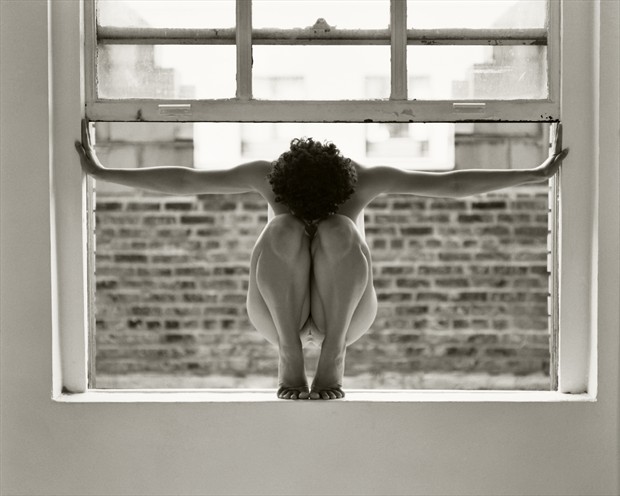 Bird in a Window Artistic Nude Photo print by Photographer Christopher Ryan