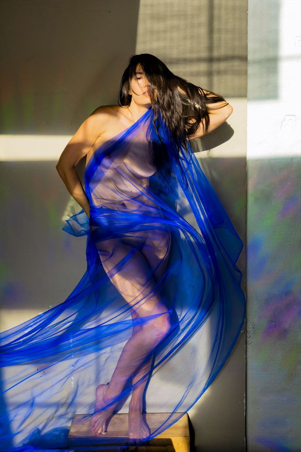 Blue Sheer Artistic Nude Photo print by Photographer Philip Turner