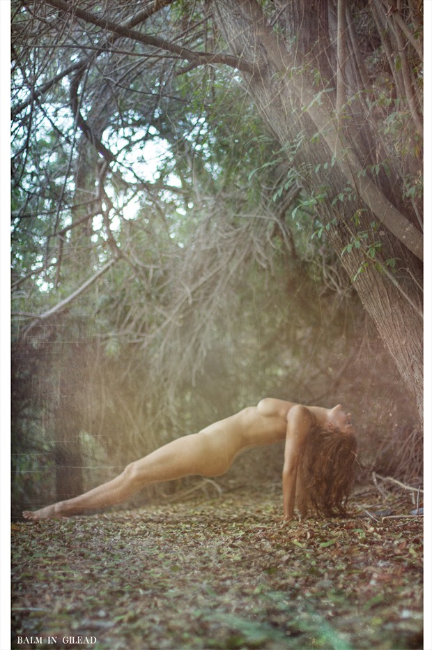 Breaking ground Artistic Nude Photo print by Photographer balm in Gilead