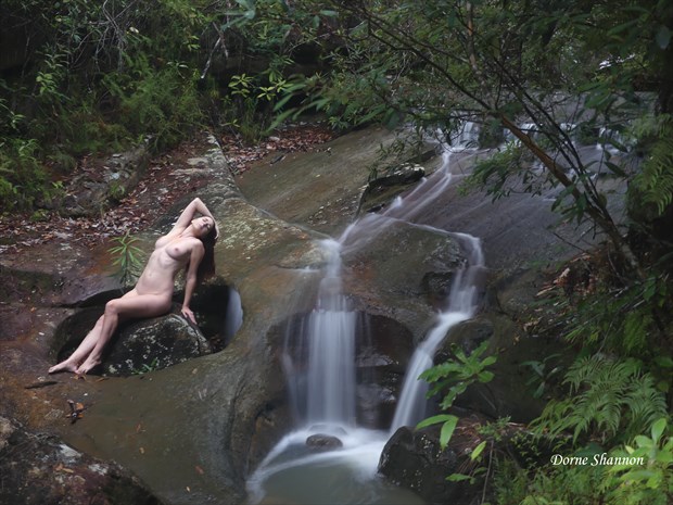 Chey Ann Artistic Nude Photo print by Photographer Dorne Shannon 