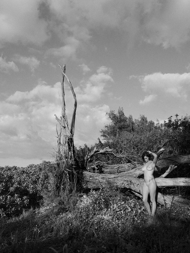 Downed Tree Artistic Nude Photo print by Photographer Jason Tag