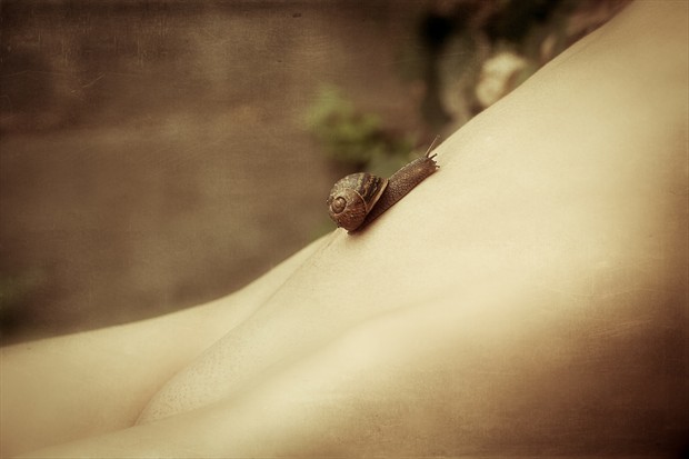 EL JARD%C3%8DN SECRETO 05 Artistic Nude Photo print by Photographer Ron Vargas