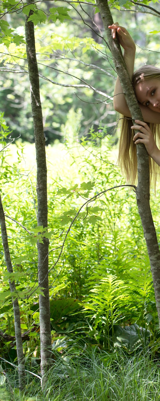 Elin Among the Trees Artistic Nude Photo print by Photographer Mass Photo Guy