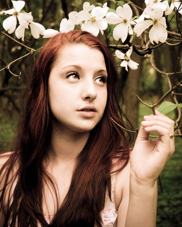 Enchanted Nature Photo print by Photographer That Redhaired Girl's Photography