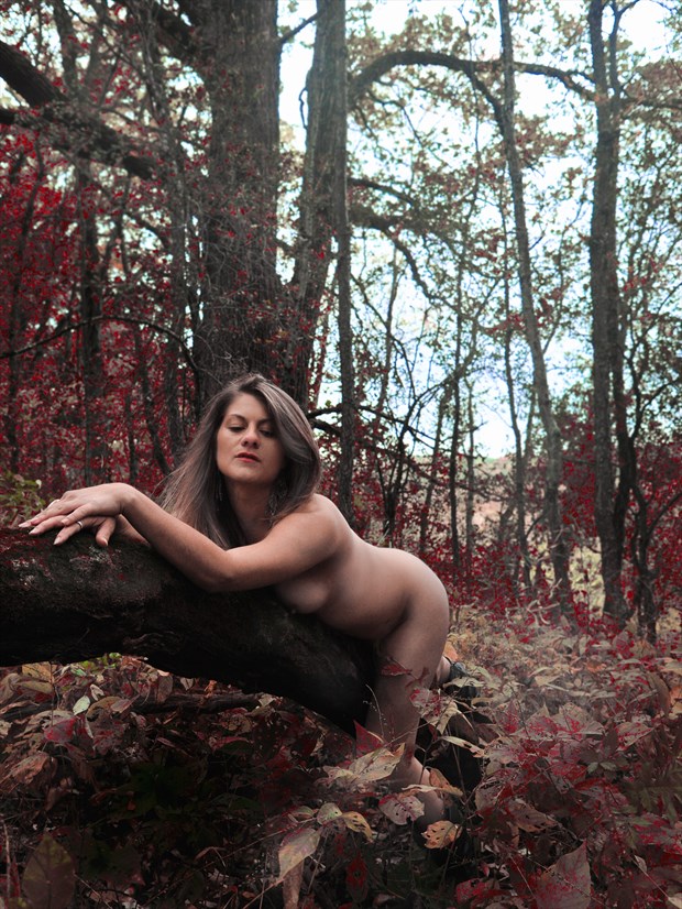 Fall pleasures Artistic Nude Photo print by Photographer Anchorphoto