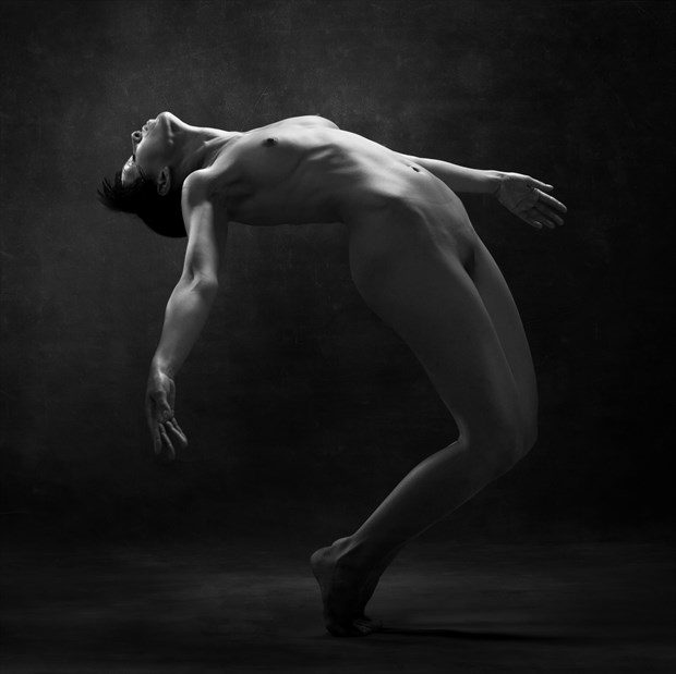 Falling Artistic Nude Photo print by Photographer KJames Photo