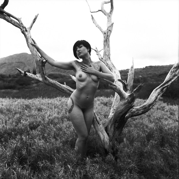 Leah Artistic Nude Photo print by Photographer Jason Tag