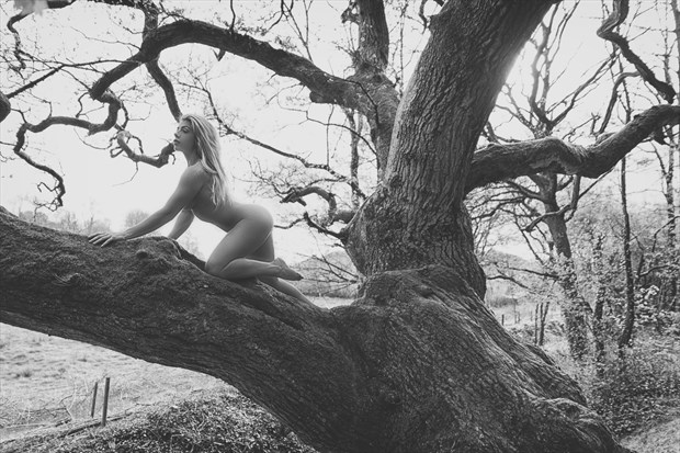 Lioness Artistic Nude Photo print by Photographer Ghost Light Photo