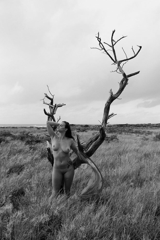 Lonely Tree Artistic Nude Photo print by Photographer Jason Tag