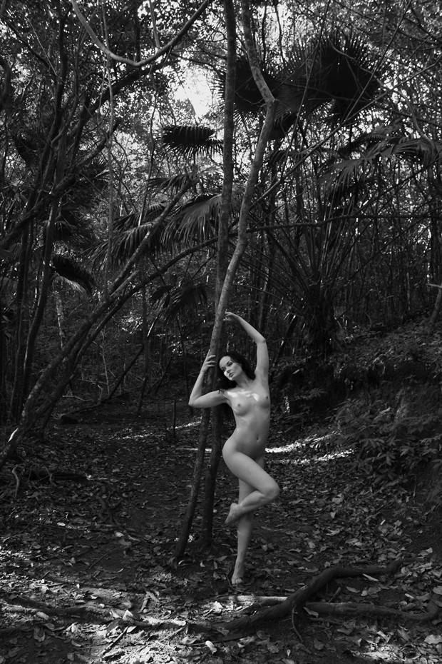 Path Artistic Nude Photo print by Photographer Jason Tag
