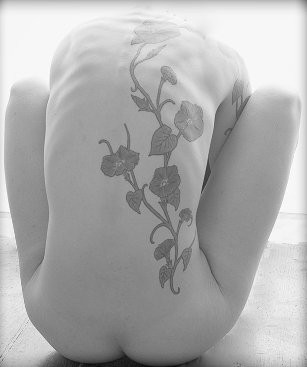 Plant Life Artistic Nude Photo print by Photographer davidfry